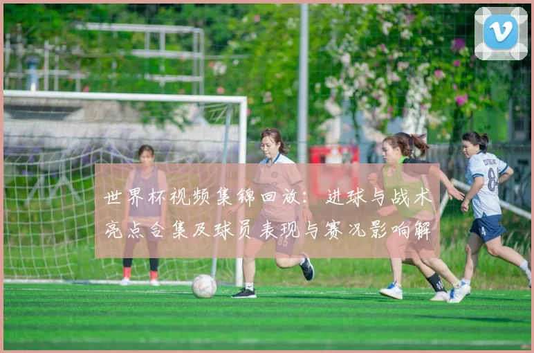 世界杯视频集锦回放：进球与战术亮点合集及球员表现与赛况影响解析