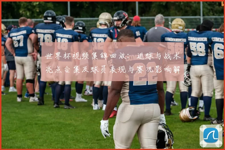 世界杯视频集锦回放：进球与战术亮点合集及球员表现与赛况影响解析